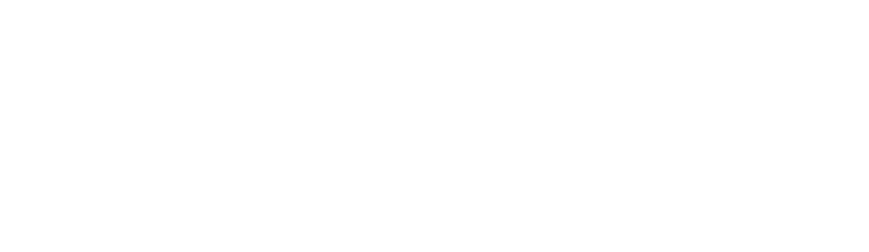 Cyber Resilience Logo